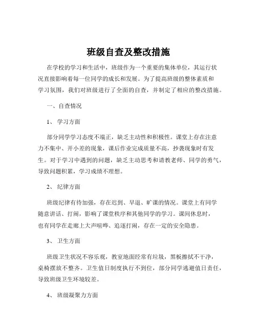 班级自查及整改措施