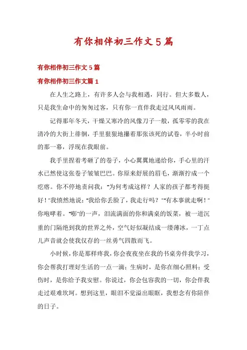 有你相伴初三作文5篇