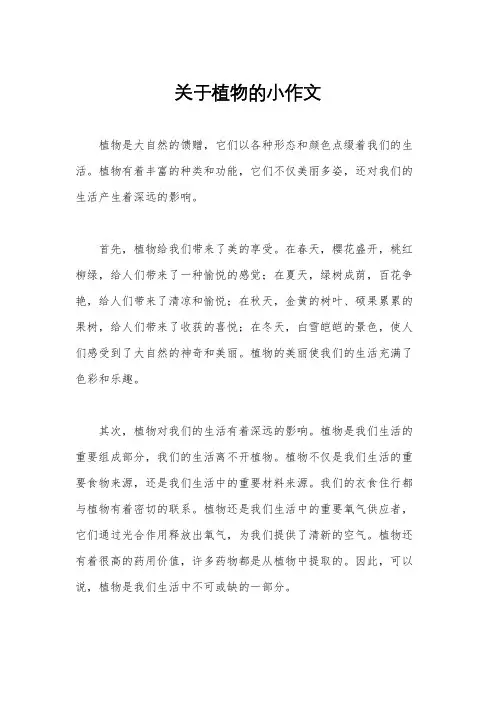 关于植物的小作文