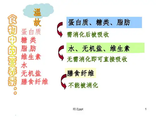 食物的消化与吸收[60张PPT