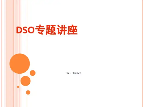 应收账款管理(DSO专题)..