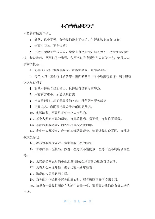 不负青春励志句子