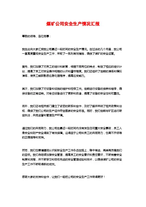 煤矿公司安全生产情况汇报