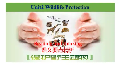 Unit2+Reading+and+thinking+课文要点精析课件高中英语人教版必修第二册