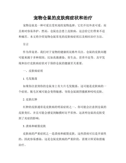 宠物仓鼠的皮肤病症状和治疗