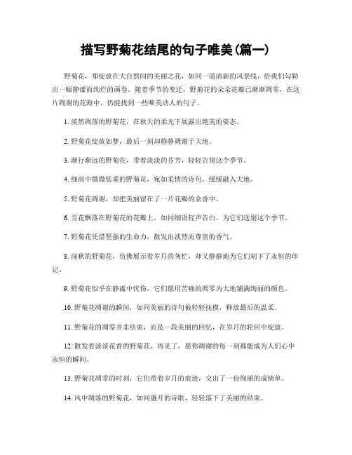 描写野菊花结尾的句子唯美(精选合集2篇)