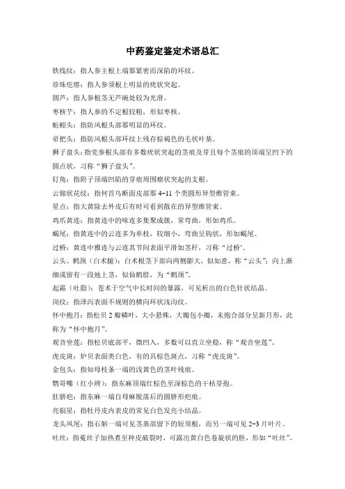 中药鉴定术语汇总