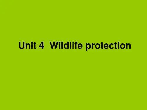 人教版高中英语 必修二 Unit4 《Wildlife  protection  ---Warming up 》 课件  (共23张PPT).ppt