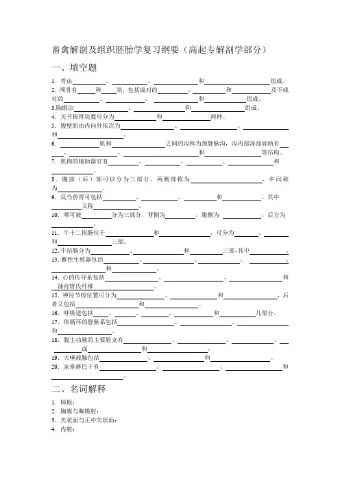 畜禽解剖及组织胚胎学复习纲要