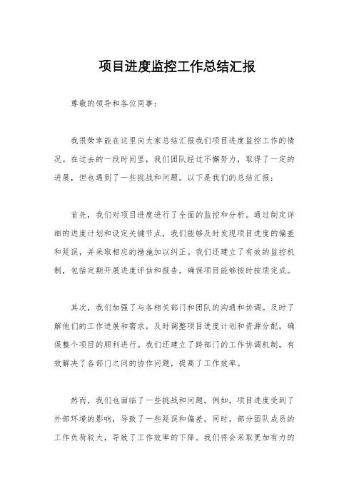 项目进度监控工作总结汇报