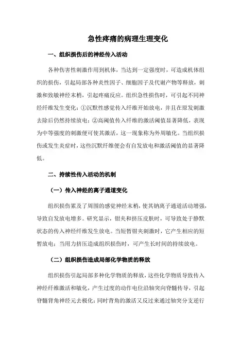 急性疼痛的病理生理变化