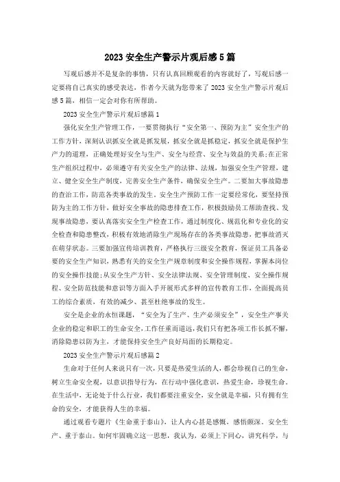 2023安全生产警示片观后感5篇