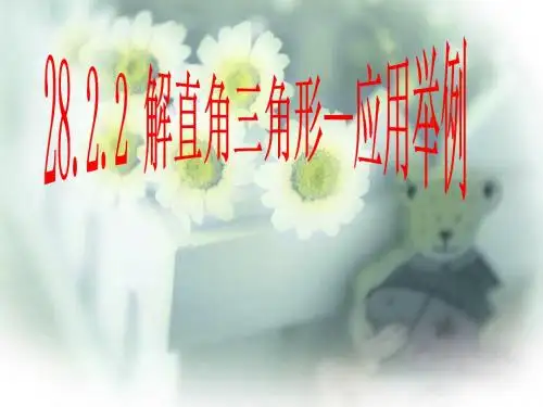 解直角三角形---应用举例