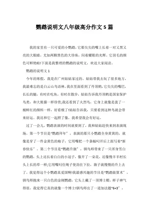 (说明文)鹦鹉说明文八年级高分作文5篇