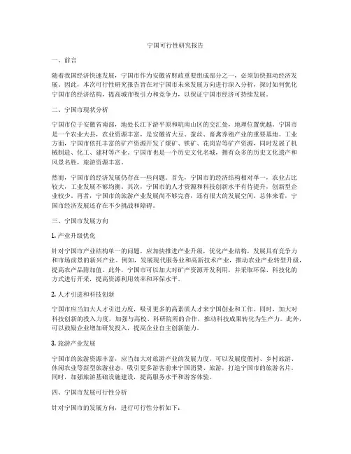 宁国可行性研究报告