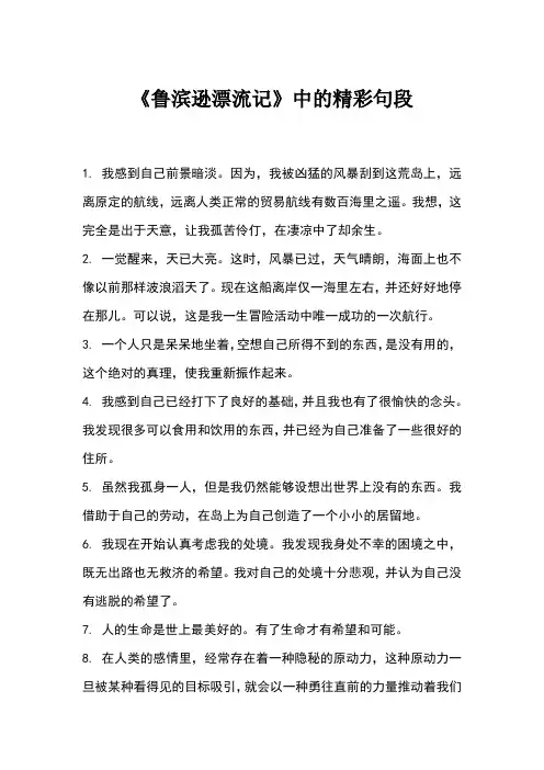 鲁滨逊漂流记 精彩句段