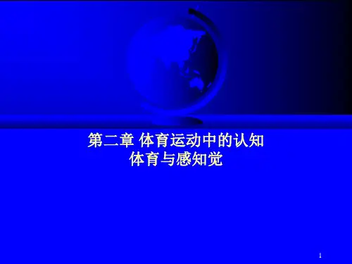体育运动中的认知