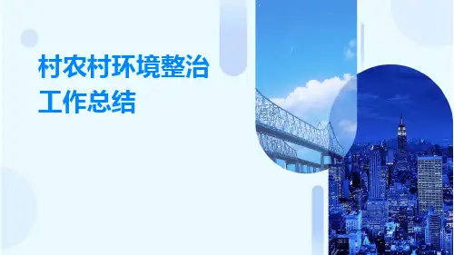 村农村环境整治工作总结PPT