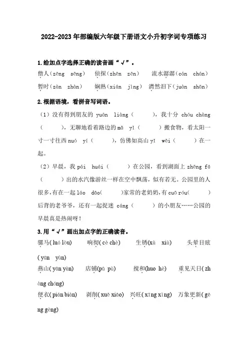 2022-2023年部编版六年级下册语文小升初字词专项练习