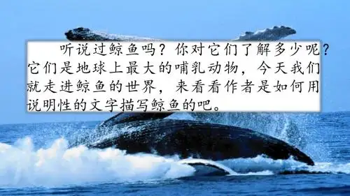 2019年秋部编本人教版小学五年级语文上册习作例文：《鲸》《风向袋的制作》ppt课件