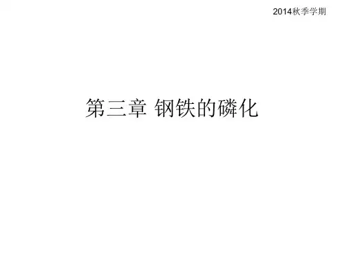 第3章 钢铁的磷化