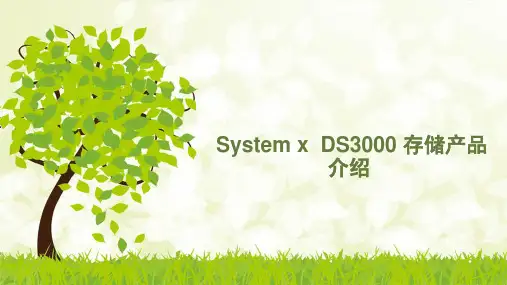 system_storage_DS3000_系列产品的详细介绍