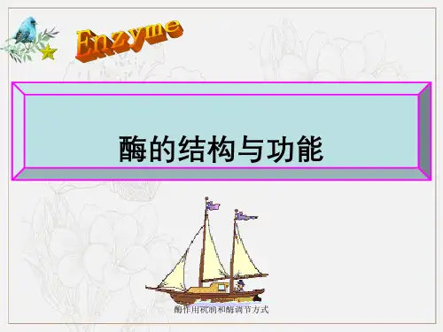 酶作用机制和酶调节方式