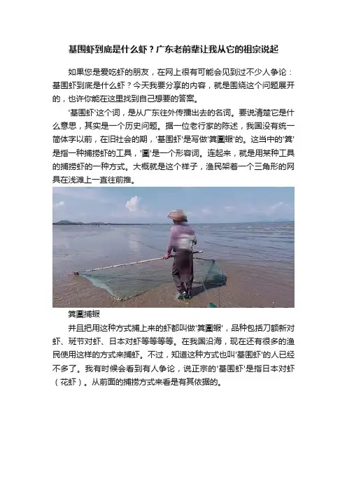 基围虾到底是什么虾？广东老前辈让我从它的祖宗说起