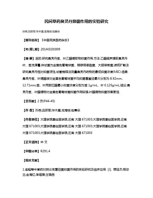 民间草药臭灵丹抑菌作用的实验研究