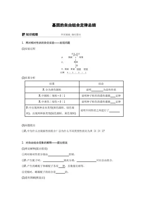 高中生物必修二基因的自由组合定律