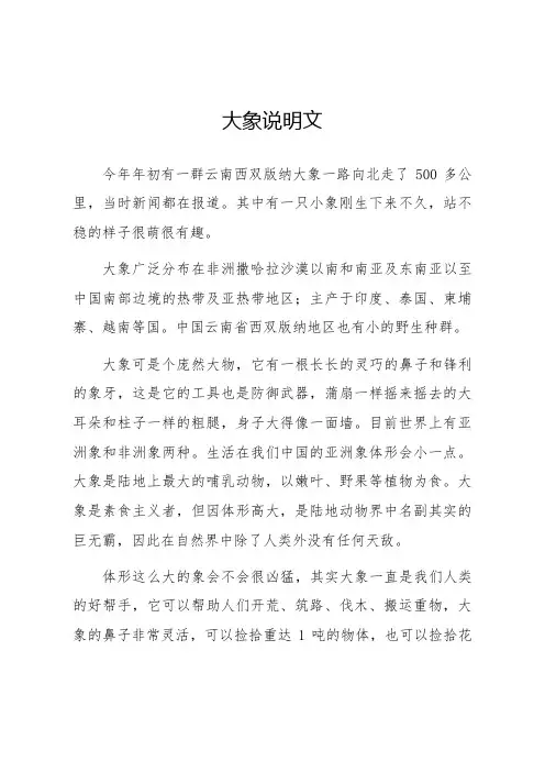 大象说明文
