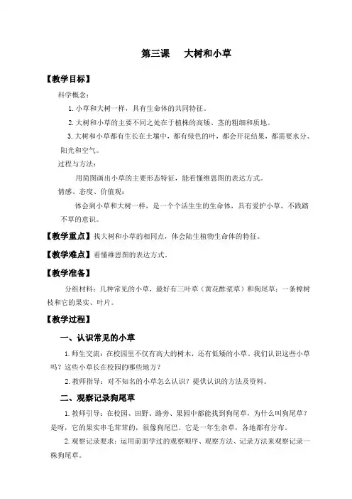 大树和小草教科版三年级科学上册教案