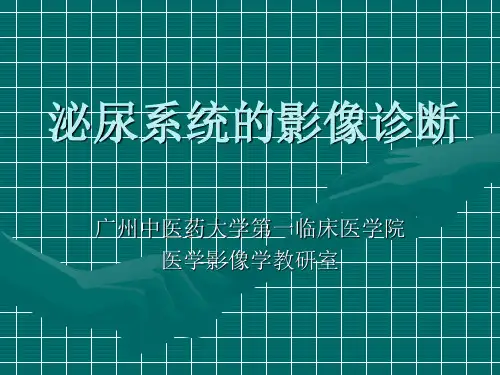 泌尿生殖影像诊断