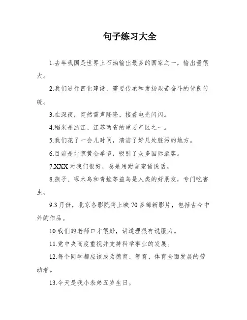 句子练习大全