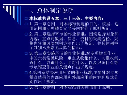 海关专项稽查作业标准共20页文档