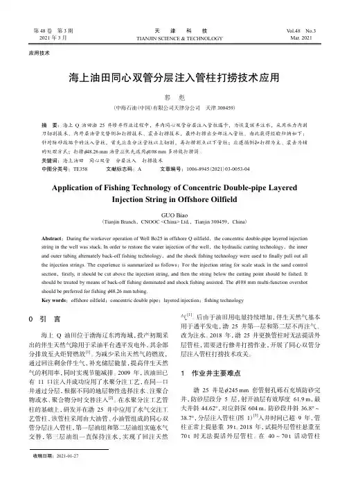 海上油田同心双管分层注入管柱打捞技术应用