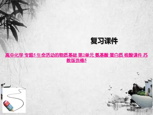 高中化学 专题5 生命活动的物质基础 第2单元 氨基酸 蛋白质 核酸课件 苏教版选修5