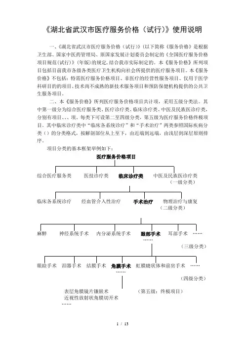 《湖北省武汉市医疗服务价格》使用说明