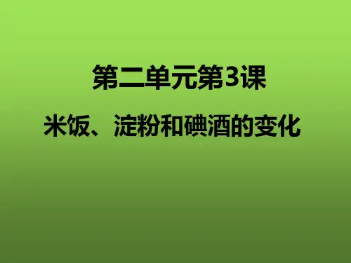 六级下册 米饭淀粉和碘酒的变化 教科版ppt精品课件