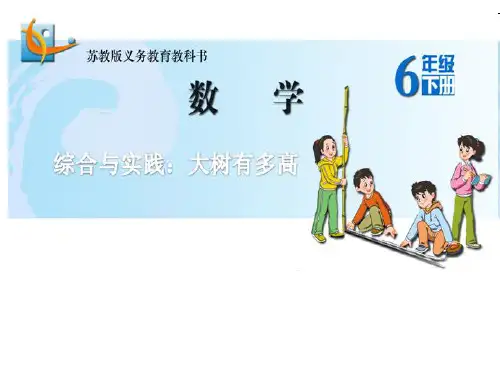 大树有多高PPT课件