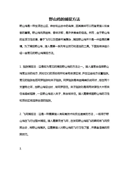 野山鸡的捕捉方法