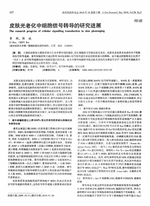 皮肤光老化中细胞信号转导的研究进展