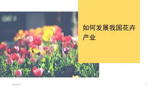 如何发展我国花卉产业PPT课件