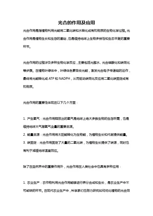 光合的作用及应用