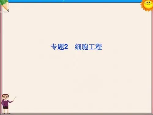 高考生物一轮复习 专题2 细胞工程课件 新人教版选修3