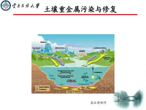 高老师自用本科生讲座 土壤重金属污染与修复