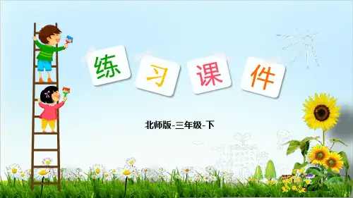 (北师大版)数学好玩教学课件1