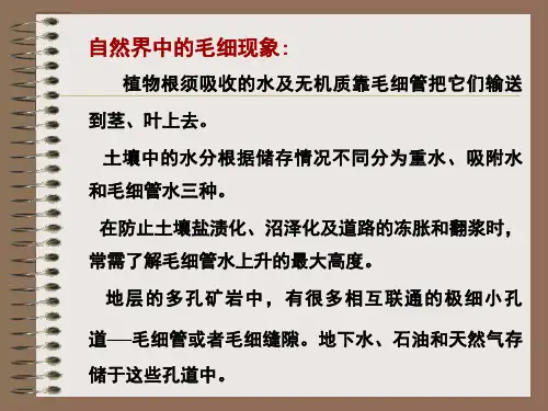 自然界中的毛细现象