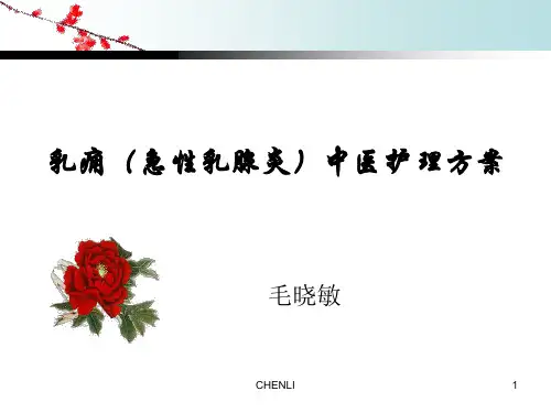 乳痈(急性乳腺炎)中医护理方案PPT课件