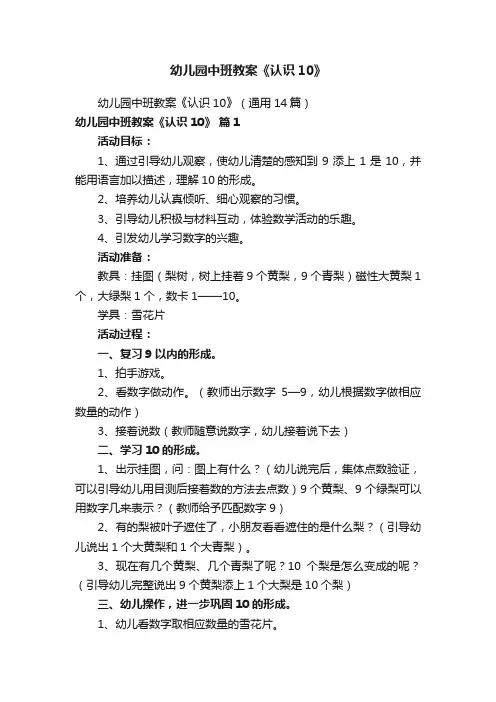 幼儿园中班教案《认识10》